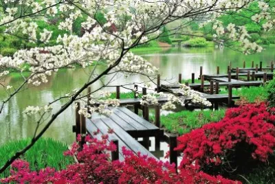 jardÃ­n japones jigsaw puzzle