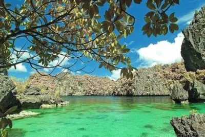 NATUREZA