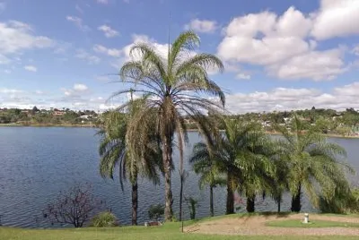 Lago