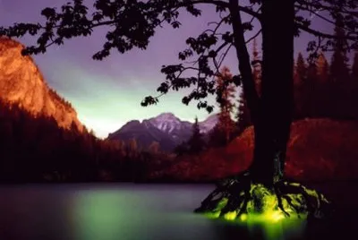 natureza