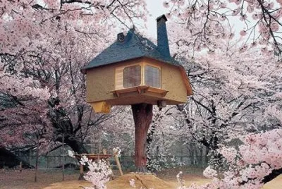 natureza