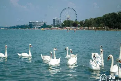 Danubio Meridional -Balaton.