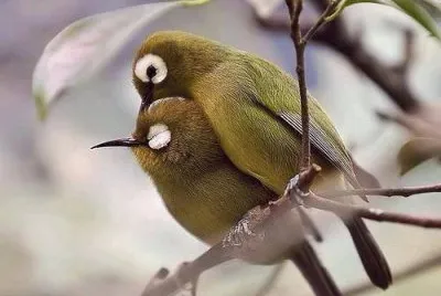natureza