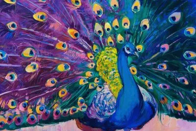 פאזל של pavo real