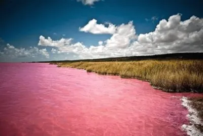 natureza