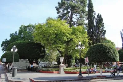 Plaza central de la Ciudad de QuerÃ©taro. jigsaw puzzle