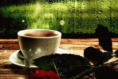 bon dia