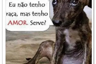 amor