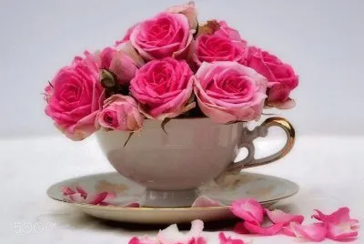 flores