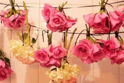 flores