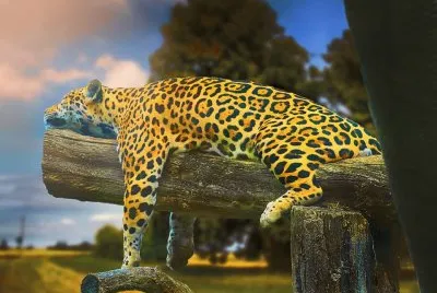 natureza