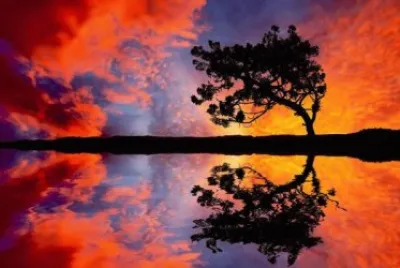 é¢¨æ™¯åœ–