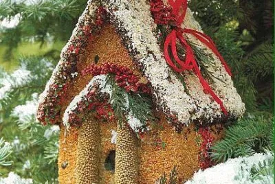 natal