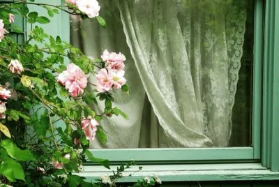 flores