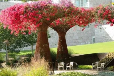 natureza