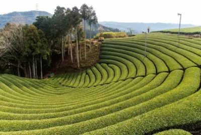 imagem jigsaw puzzle