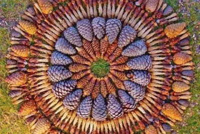 arte