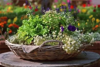 flores