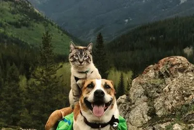 â™¥