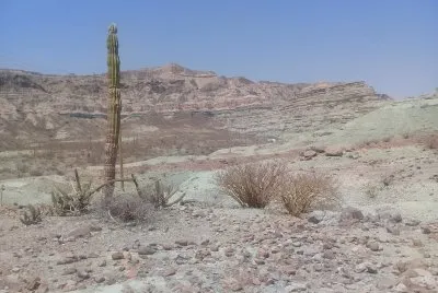 Desierto jigsaw puzzle