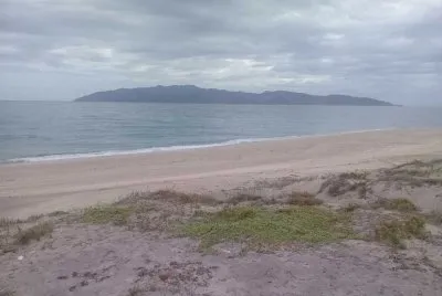 Isla Cerralvo BCS