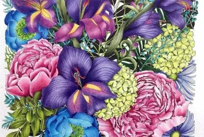 Bora Color