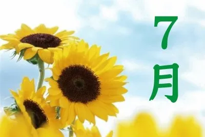 7æœˆ