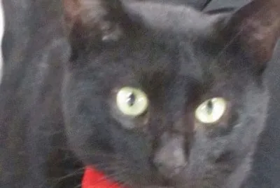 LUKAS