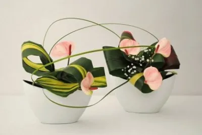 flores