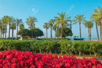 Beautiful Palm Trees-Salou, Spain jigsaw puzzle