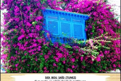 SIDI  BOU  SAÃD  (TUNEZ)