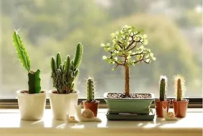 natural
