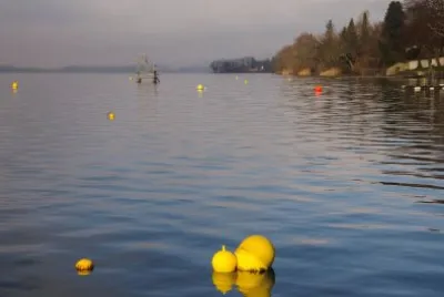 Hallwilersee