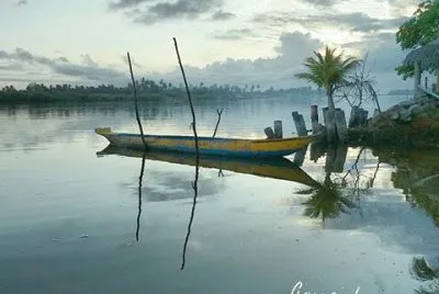 natureza