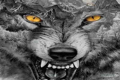 husky_white jigsaw puzzle