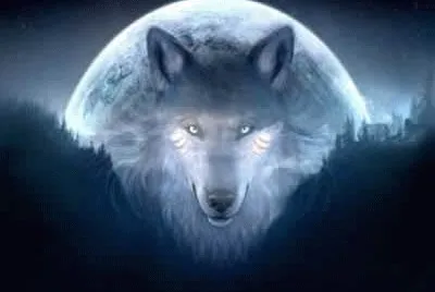 Husky   Moon jigsaw puzzle