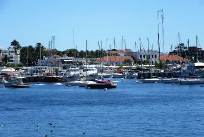 Yates en Punta del Este, Uruguay.