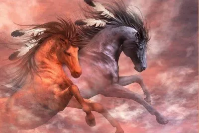 Indian horses