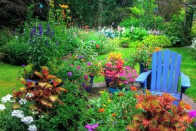 blue chair