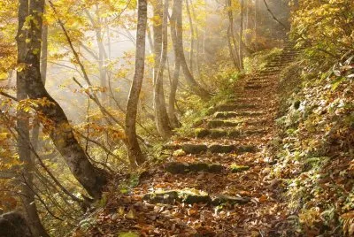 autumn landscape