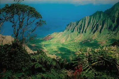 natureza