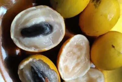 frutas