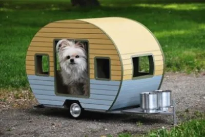 fofo