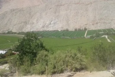 Valle del Elqui
