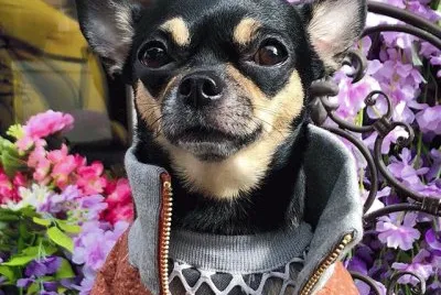 â™¥