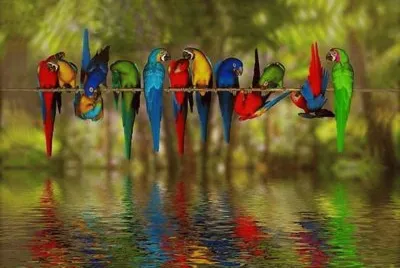natureza