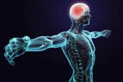 CIÃŠNCIAS BIOLÃ“GICAS - CORPO HUMANO