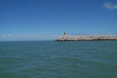 Escollera