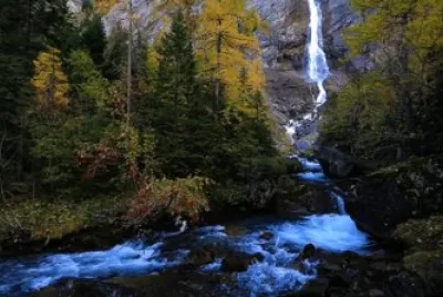 NATUREZA 1