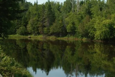 Local pond     L